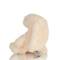 Bunny Hare Rabbit Plush Soft Cuddly Plush Toy Stuffed Animal for Kids Soft and other toys 19 - grifon.se 