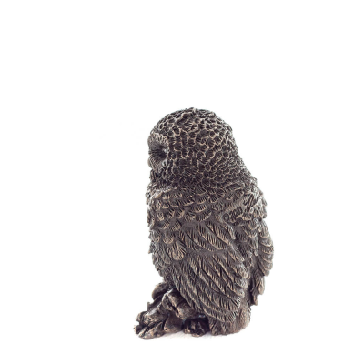 ÎšÎ¿Ï…ÎºÎ¿Ï…Î²Î¬Î³Î¹Î± Î® Î“Î»Î±ÏÎºÎ±: Ï„Î¿ Î¹ÎµÏÏŒ Ï€Î¿Ï…Î»Î¯, ÏƒÏÎ¼Î²Î¿Î»Î¿ ÏƒÎ¿Ï†Î¯Î±Ï‚, ÏƒÏÎ½ÎµÏƒÎ·Ï‚, 6ÎµÎº ÎŸÎ»ÏŒÏƒÏ‰Î¼Î¿ Î‘Î³Î±Î»Î¼Î±Ï„Î¯Î´Î¹Î¿ Î¼Îµ Î—Î»ÎµÎºÏ„ÏÏŒÎ»Ï…ÏƒÎ· Î¼Ï€ÏÎ¿ÏÏ„Î¶Î¿Ï… Veronese Î’ÎµÏÎ¿Î½Î­Î¶ 