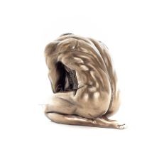 ÎœÎ¿Î½Ï„Î­ÏÎ½Î¿ ÏƒÎºÏ…Ï†Ï„ÏŒÏ‚ Î³Ï…Î¼Î½ÏŒÏ‚ Î¬Î½Î´ÏÎ±Ï‚ 15ÎµÎº ÎŸÎ»ÏŒÏƒÏ‰Î¼Î¿ Î¬Î³Î±Î»Î¼Î± Î¼Îµ Î—Î»ÎµÎºÏ„ÏÏŒÎ»Ï…ÏƒÎ· Î¼Ï€ÏÎ¿ÏÏ„Î¶Î¿Ï… Veronese Î’ÎµÏÎ¿Î½Î­Î¶ 4 - grifon.se 