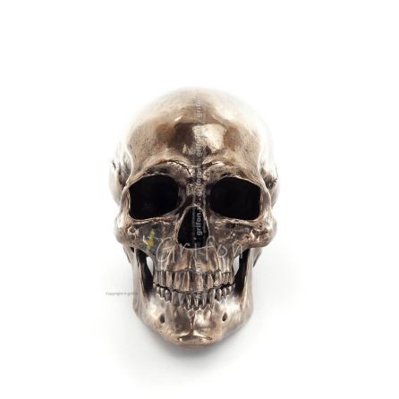 Skull 22x16cm Veronese Bronze Electrolysis Full Body Statue Modern Decorative Veronese 1 - grifon.se