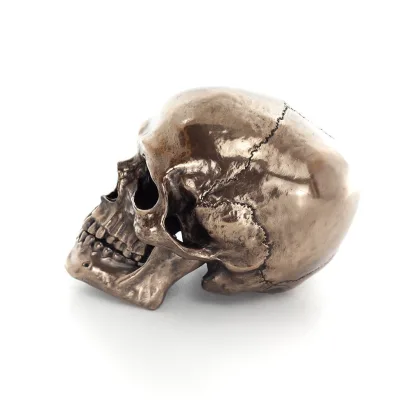 Skalle 22x16cm Veronese Brons Elektrolys Helkroppsstaty Modern Dekorativ Veronese 2 - grifon.se 