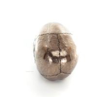 ÎÎµÎºÏÎ¿ÎºÎµÏ†Î±Î»Î® 22Ï‡16ÎµÎº ÎŸÎ»ÏŒÏƒÏ‰Î¼Î¿ Î¬Î³Î±Î»Î¼Î± Î¼Îµ Î—Î»ÎµÎºÏ„ÏÏŒÎ»Ï…ÏƒÎ· Î¼Ï€ÏÎ¿ÏÏ„Î¶Î¿Ï… Veronese, ÎœÎ¿Î½Ï„Î­ÏÎ½Î¿ Î”Î¹Î±ÎºÎ¿ÏƒÎ¼Î·Ï„Î¹ÎºÏŒ Î’ÎµÏÎ¿Î½Î­Î¶ 3 - grifon.se 