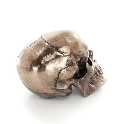 Skull 22x16cm Veronese Bronze Electrolysis Full Body Statue Modern Decorative Veronese 4 - grifon.se 