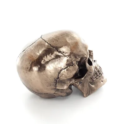 Skull 22x16cm Veronese Bronze Electrolysis Full Body Statue Modern Decorative Veronese 4 - grifon.se 