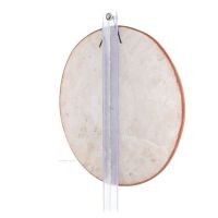 Phaistos Disc: The Unsolved Mystery Wall Hanging 28cm Dekorativ handgjord finish VÃ¤gghÃ¤ngande minoisk kultur Dekorativ keramik 5