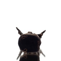 Î™Î·ÏƒÎ¿ÏÏ‚ 8.5ÎµÎº