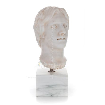 Adolescent: Young, free citizen, 36cm. Bust, bust Made of marble, Handmade, ancient Greece Plaster, Tuff, Marmor 1 - grifon.se 